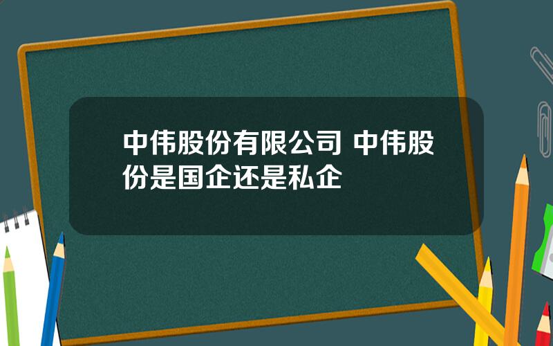 中伟股份有限公司 中伟股份是国企还是私企